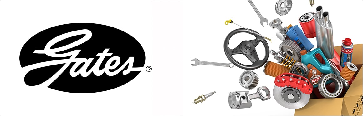 GATES Micro-V® Belt Motor Catálogo, correspondendo a Correia do alternador para o seu carro