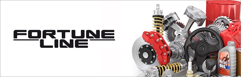 Peças de reposição FORTUNE LINE Oferta